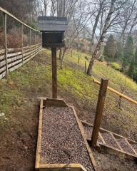 Replaced Steps and New Birdhouse